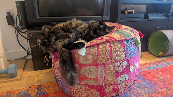 PXL_20250829_021600149