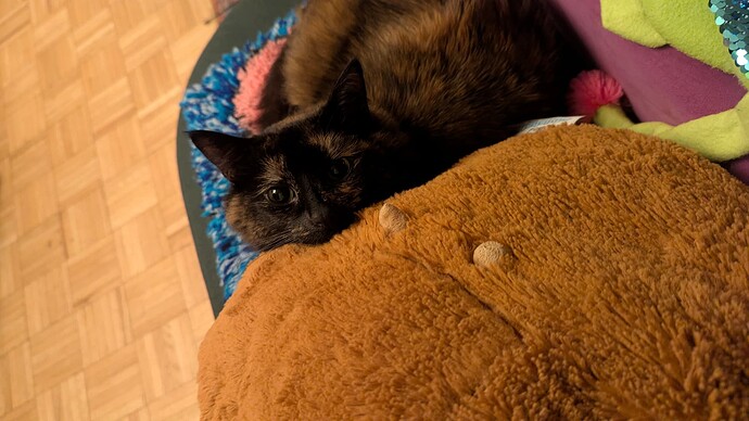 PXL_20260316_030652841