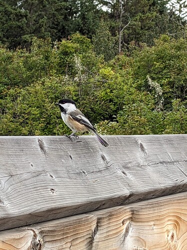 PXL_20230822_191401185