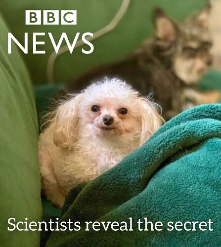 FB_IMG_1760877935819