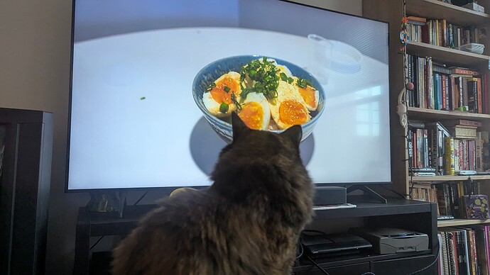 PXL_20250724_024431485