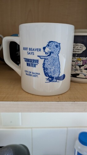 PXL_20250923_213645713.MP