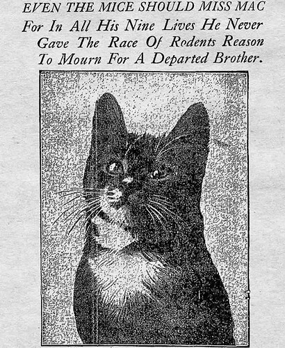 FB_IMG_1763040130246