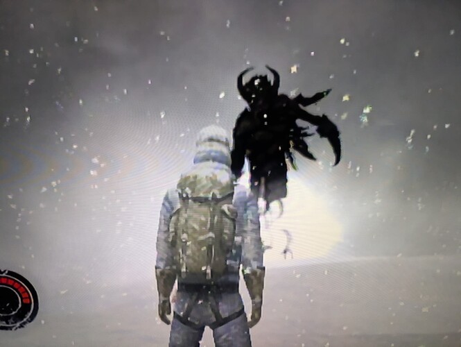 PXL_20251115_192636286