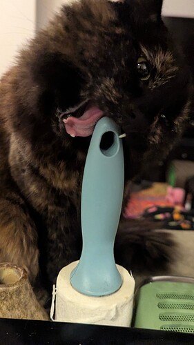 PXL_20260114_061538917