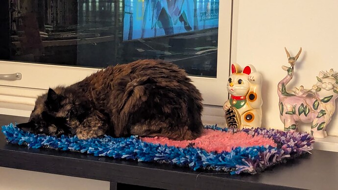 PXL_20250209_063220819