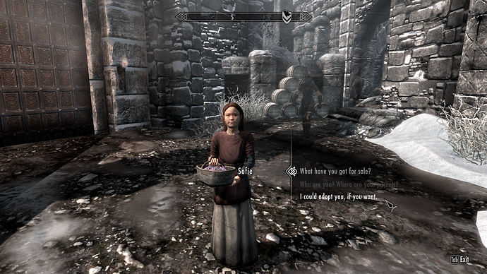 11949334-the-elder-scrolls-v-skyrim-hearthfire-windows-sofie-is-a-nord-gi