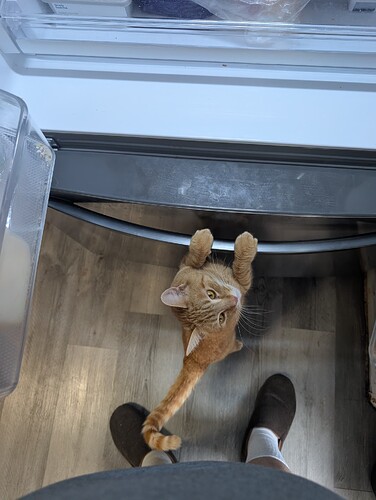 PXL_20260202_153034817