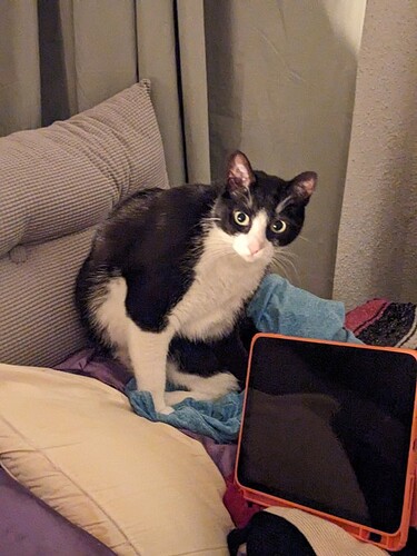 e0d508e6a0e2c7f0d19704955c83258599f7063f