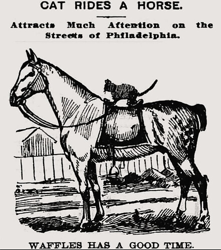 Screenshot_20251119-152900