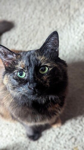 PXL_20250815_002341164.PORTRAIT