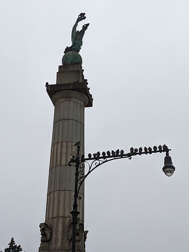 PXL_20240126_201152399