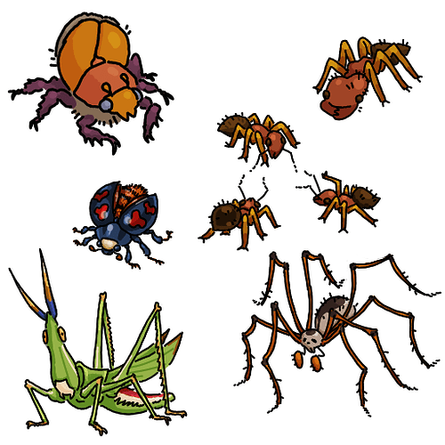 manybugs