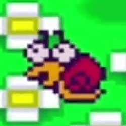 snail