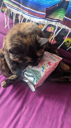 PXL_20250507_003931367