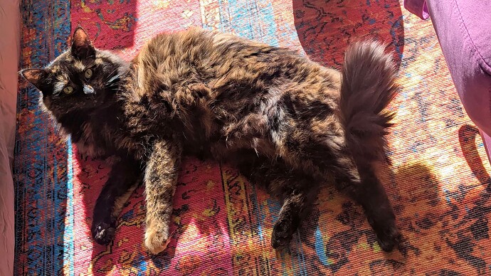 PXL_20250306_221332720