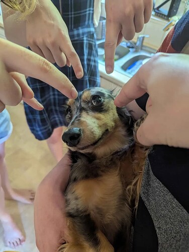 baby vincent receiving blame (probably for farts)