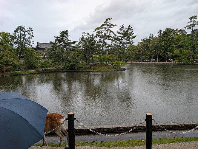 PXL_20260607_031458713
