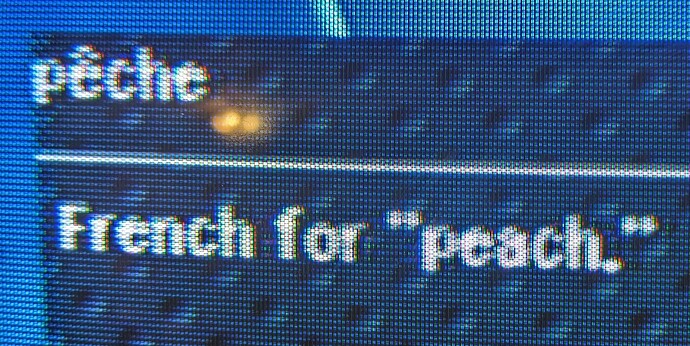 PXL_20240311_015228549