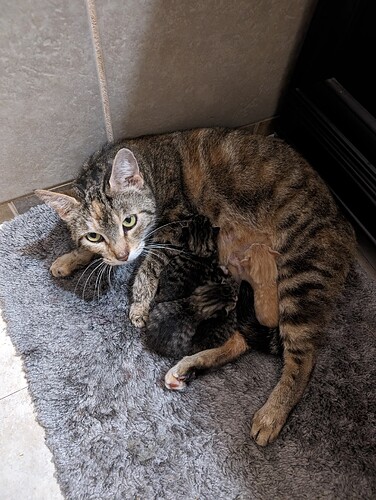 PXL_20240416_100428293