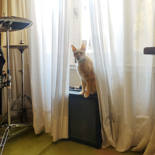 e89cb9b3-2fc2-40e5-9ad9-78a3a2c967f6 copia EDIT