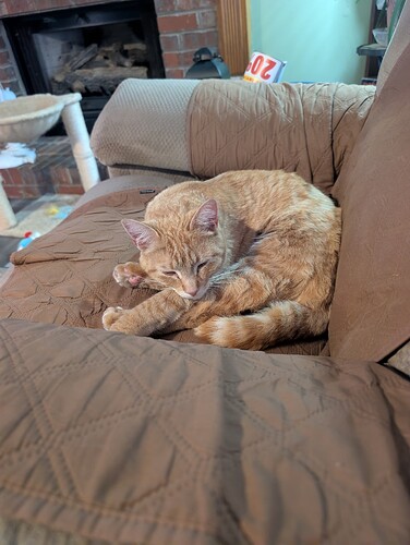 PXL_20260209_184841273