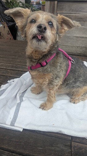 PXL_20250705_032258152