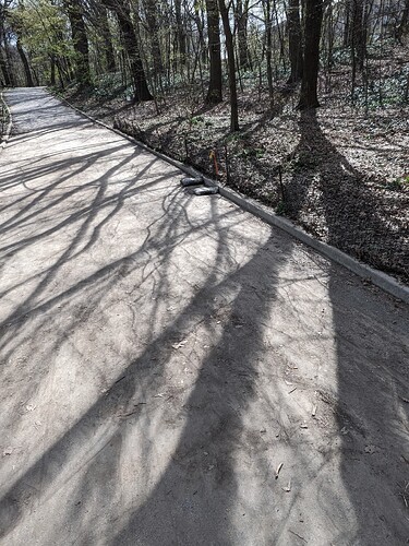 PXL_20240408_191959669