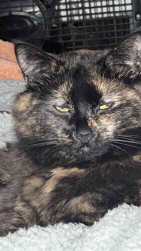 PXL_20250106_125702974