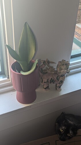 PXL_20240715_011744450