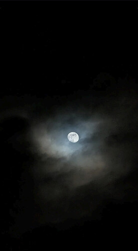 Screenshot_20250110-211228