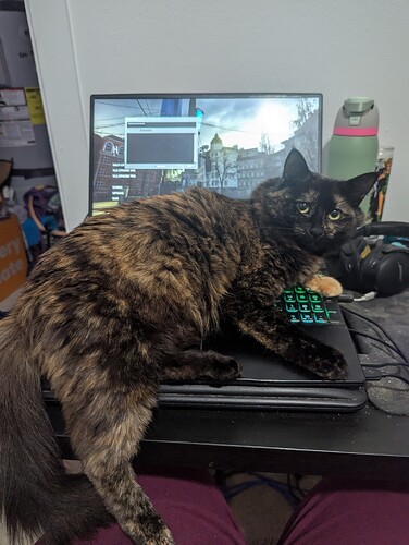 PXL_20241122_004950923