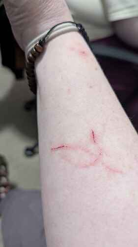 PXL_20250130_073112920.MP