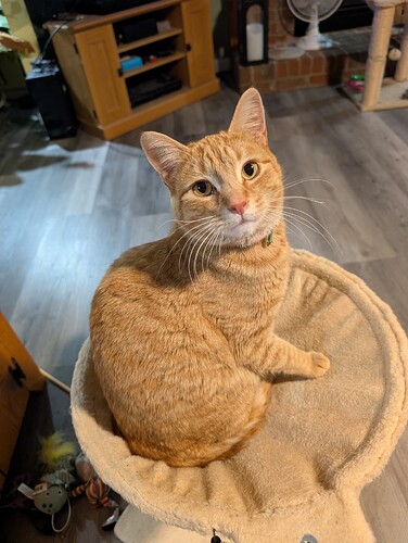 PXL_20260115_230630498