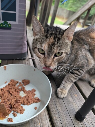 PXL_20240618_231522695