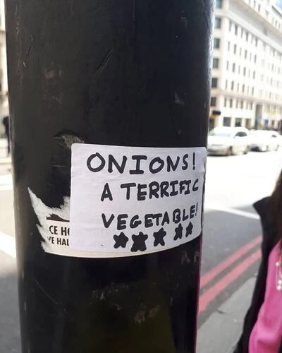 onions_terrific
