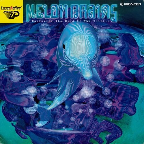 598px-Melon_Brains_MegaLD_JP_Front