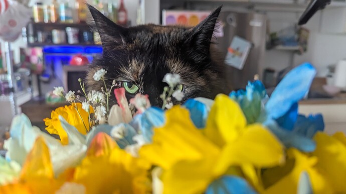 PXL_20250318_201914756