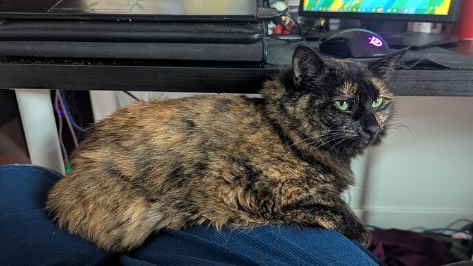 PXL_20250901_181802881