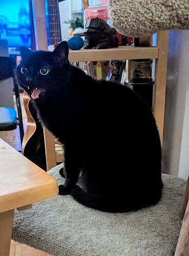 PXL_20260201_045312545~2