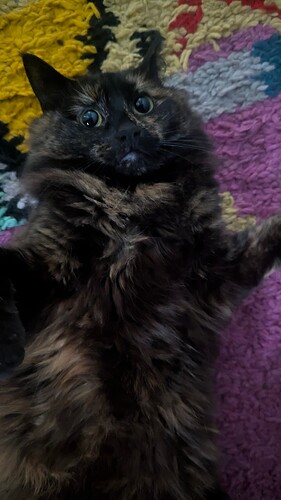 PXL_20250224_200356455