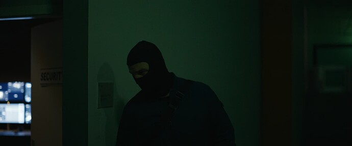 Verbrannte.Erde.2024.German.EAC3.1080p.WEB.H264-SiXTYNiNE.mkv_snapshot_00.40.52_2024-12-10_11.04.40