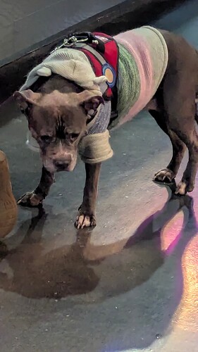 PXL_20260115_062128923