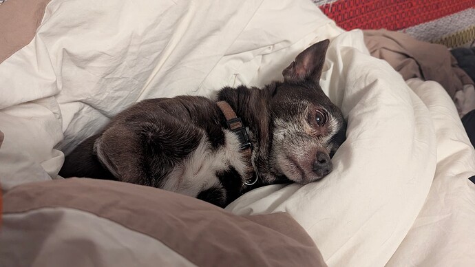 PXL_20250115_064229821