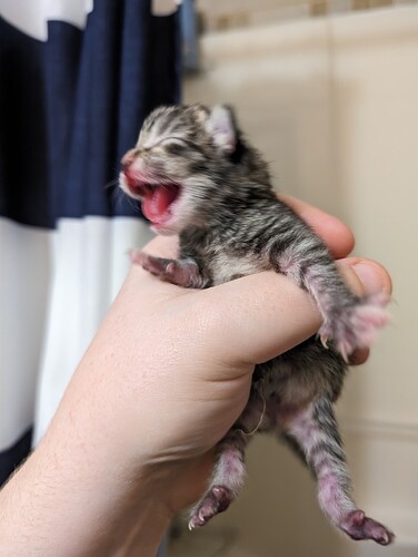 PXL_20240418_003604551