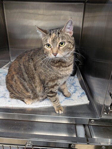 PXL_20260305_123347825