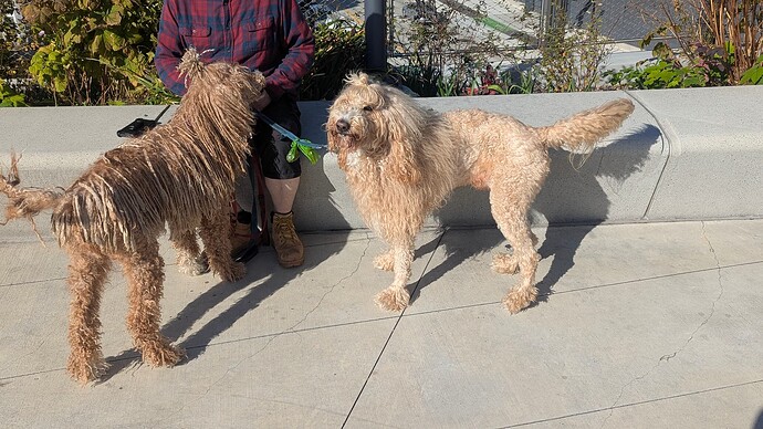 PXL_20251021_210127416