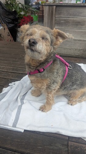 PXL_20250705_032259883