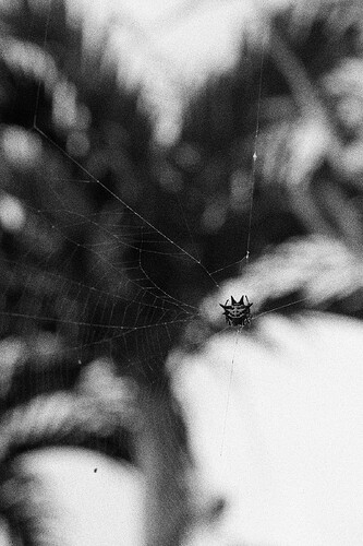 000040600010e - Copy