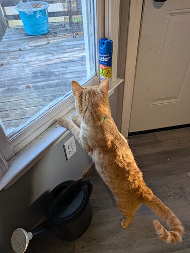 PXL_20260312_223408982.MP